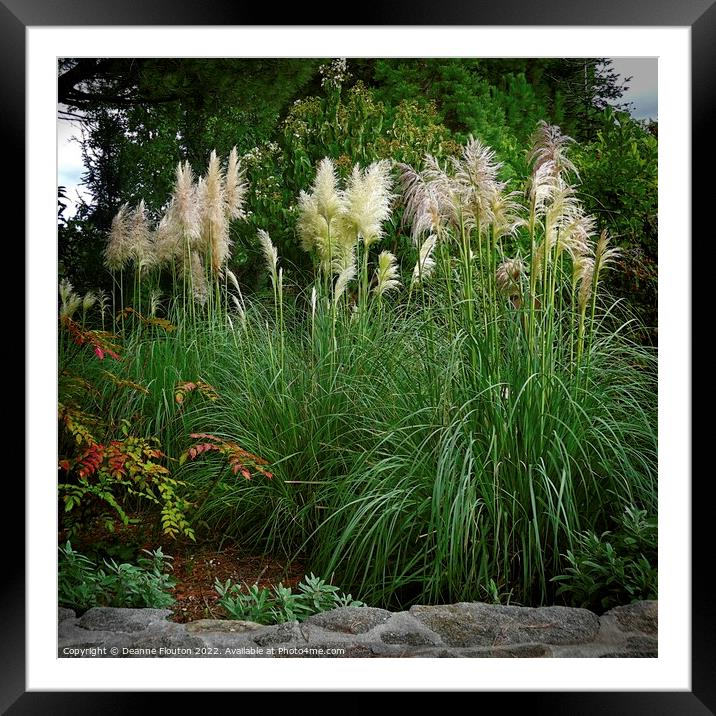 Feathered Beauty in a Bountiful Garden Framed Mounted Print by Deanne Flouton