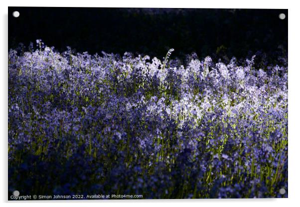 Sunlit Bluebells Acrylic by Simon Johnson