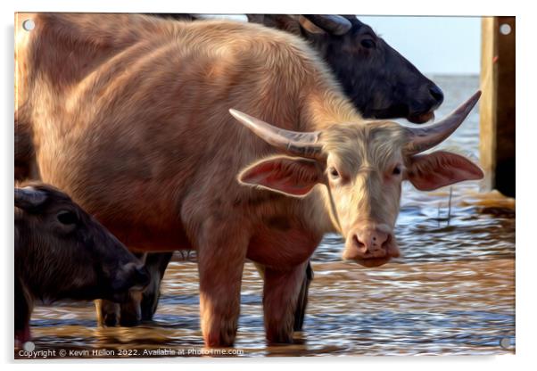 Water buffalo on Thale Noi Lake, Acrylic by Kevin Hellon