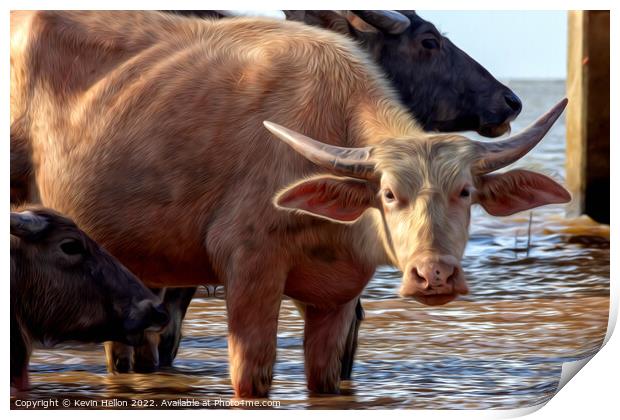 Water buffalo on Thale Noi Lake, Print by Kevin Hellon