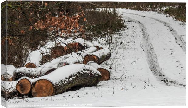 Sawed big tree trunks on the side of the road covered in snow in the woods Canvas Print by Ingo Menhard