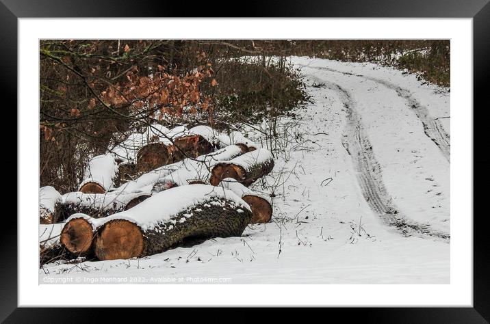 Sawed big tree trunks on the side of the road covered in snow in the woods Framed Mounted Print by Ingo Menhard