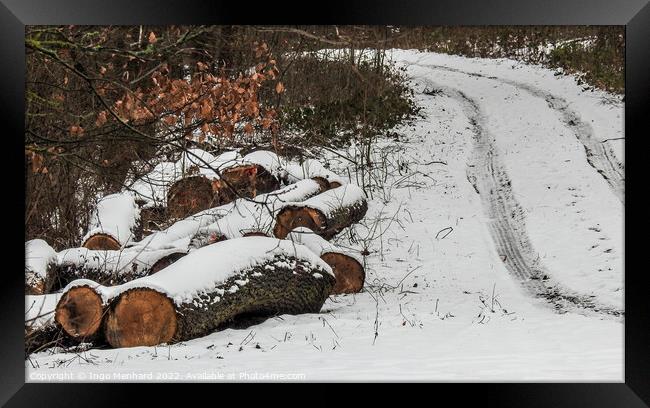 Sawed big tree trunks on the side of the road covered in snow in the woods Framed Print by Ingo Menhard