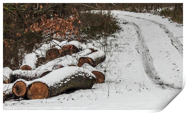 Sawed big tree trunks on the side of the road covered in snow in the woods Print by Ingo Menhard