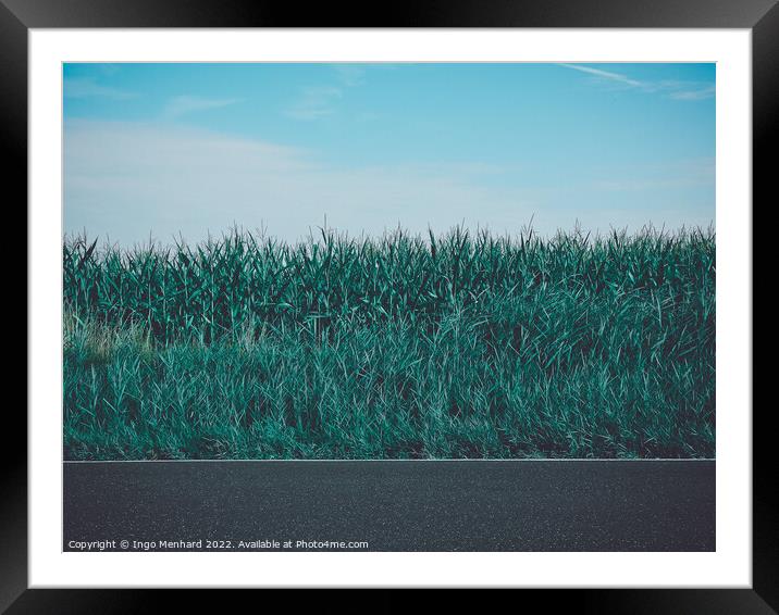 A green field under a blue sky near a road Framed Mounted Print by Ingo Menhard