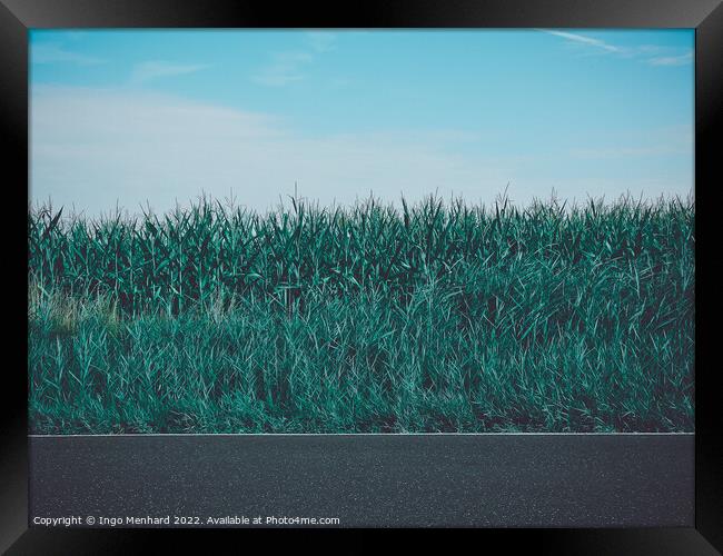 A green field under a blue sky near a road Framed Print by Ingo Menhard