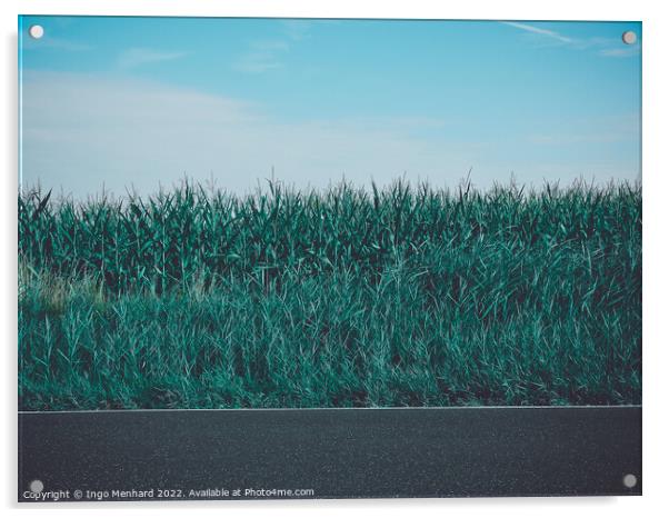 A green field under a blue sky near a road Acrylic by Ingo Menhard