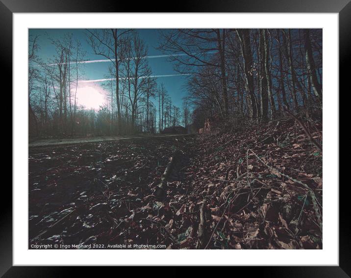 Dark forest scene Framed Mounted Print by Ingo Menhard