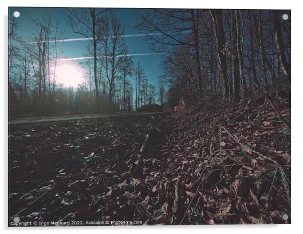 Dark forest scene Acrylic by Ingo Menhard