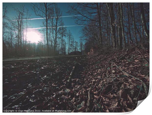 Dark forest scene Print by Ingo Menhard