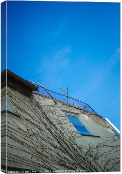 Vertical low angle shot of a building with tree roots under a blue sky Canvas Print by Ingo Menhard