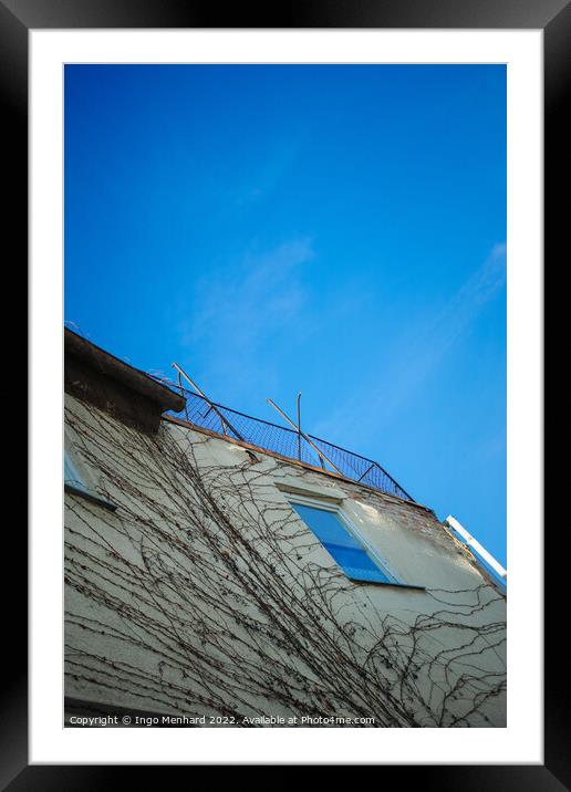 Vertical low angle shot of a building with tree roots under a blue sky Framed Mounted Print by Ingo Menhard