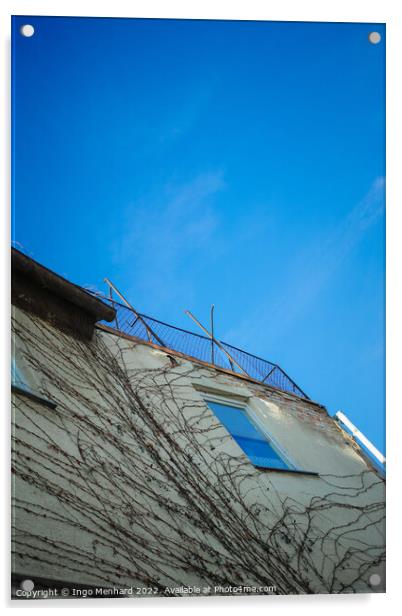 Vertical low angle shot of a building with tree roots under a blue sky Acrylic by Ingo Menhard