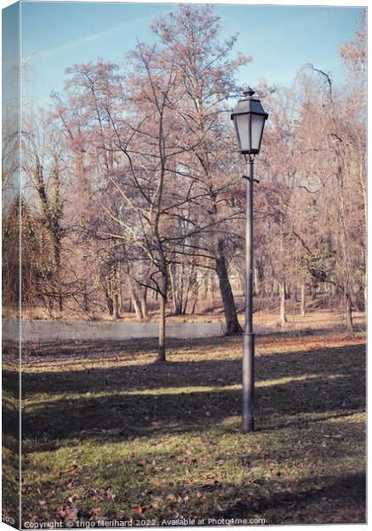 Vertical shot of a street light and bare trees in a park Canvas Print by Ingo Menhard