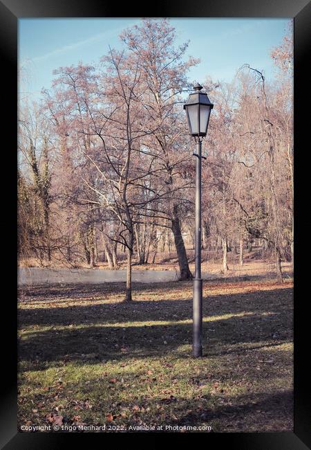 Vertical shot of a street light and bare trees in a park Framed Print by Ingo Menhard