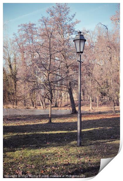 Vertical shot of a street light and bare trees in a park Print by Ingo Menhard