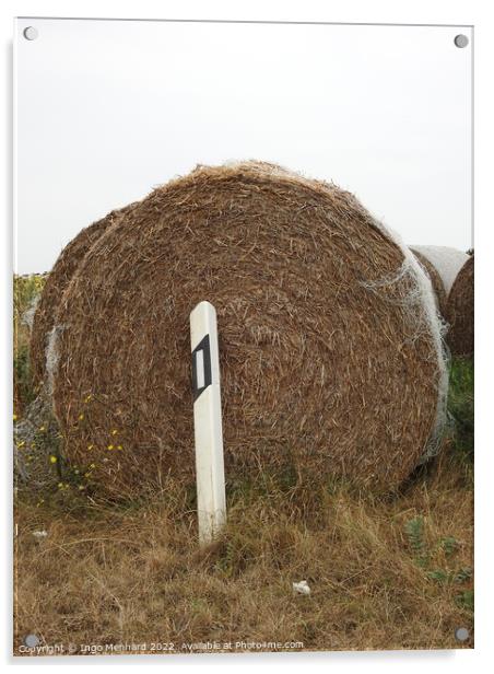 A closeup shot of brown round hay bale behind road signal white bollard at the gloomy day Acrylic by Ingo Menhard
