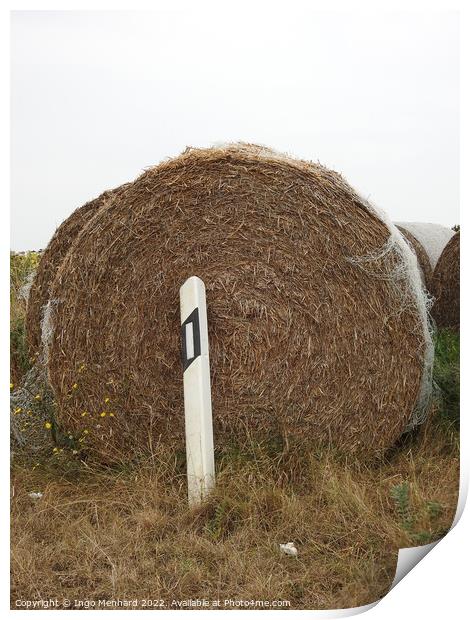 A closeup shot of brown round hay bale behind road signal white bollard at the gloomy day Print by Ingo Menhard