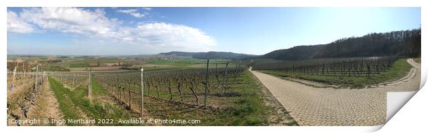 Vineyard panorama in Bavaria in early spring  Print by Ingo Menhard