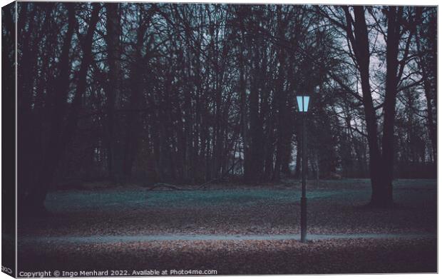 Glowing lamp post in the park on a winter morning Canvas Print by Ingo Menhard