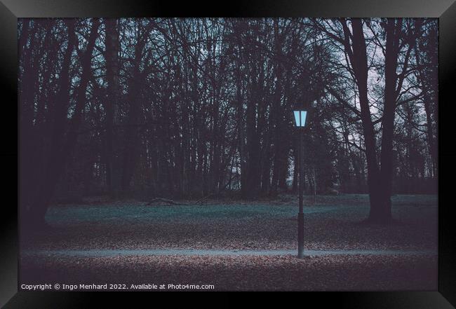 Glowing lamp post in the park on a winter morning Framed Print by Ingo Menhard