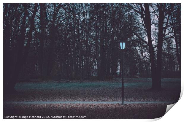 Glowing lamp post in the park on a winter morning Print by Ingo Menhard