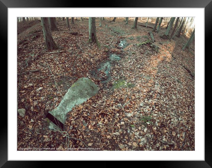High angle shot of forest ground covered with dry leaves with a mossy stone in the center Framed Mounted Print by Ingo Menhard