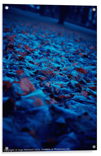 Frozen blue orange foliage in park Acrylic by Ingo Menhard