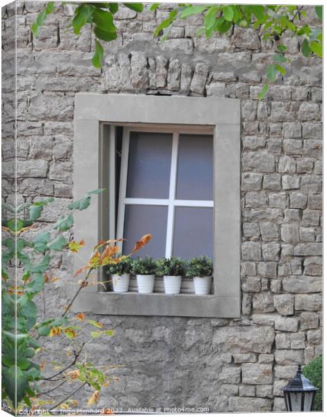 A vertical shot of a window of a grey building decorated with some plants in pots Canvas Print by Ingo Menhard