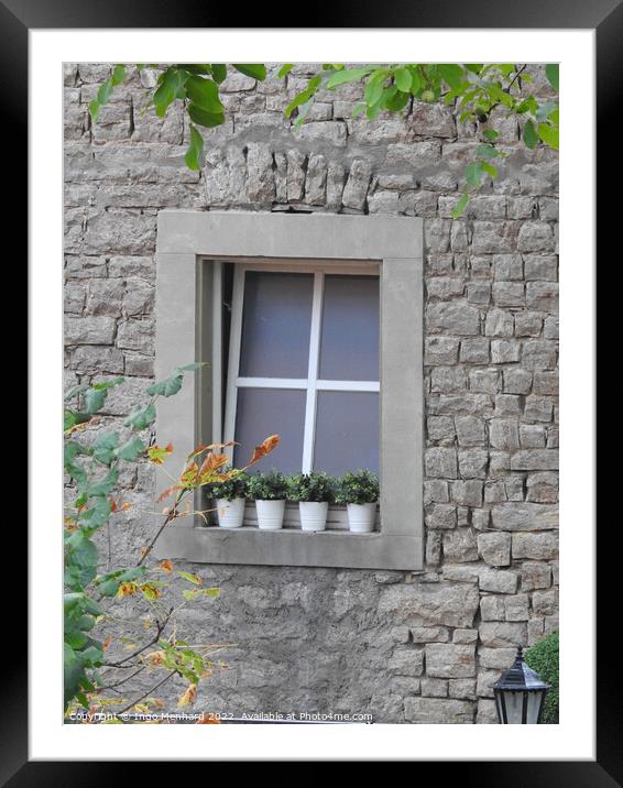 A vertical shot of a window of a grey building decorated with some plants in pots Framed Mounted Print by Ingo Menhard