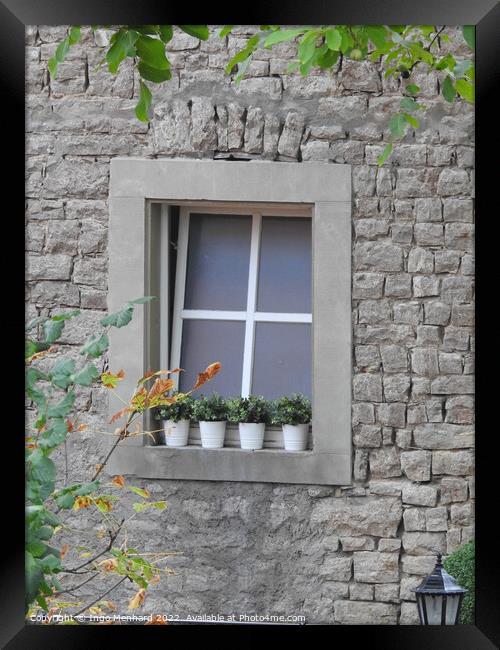 A vertical shot of a window of a grey building decorated with some plants in pots Framed Print by Ingo Menhard