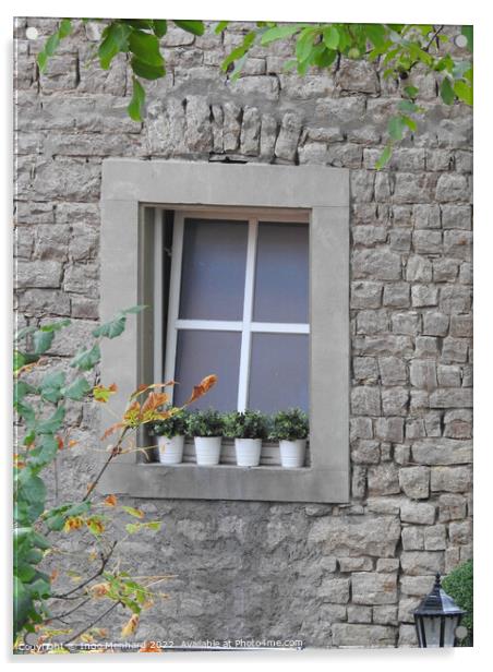 A vertical shot of a window of a grey building decorated with some plants in pots Acrylic by Ingo Menhard