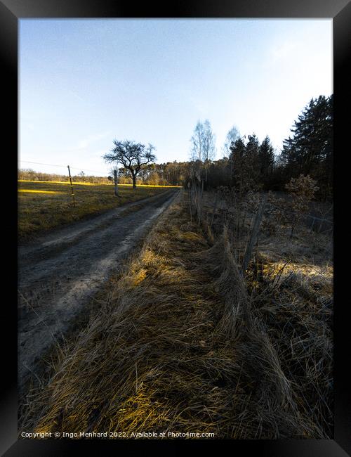Vertical shot of the rural road in the middle of the field Framed Print by Ingo Menhard