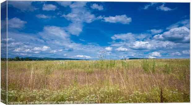 Beautiful shot of a meadow under a cloudy sky Canvas Print by Ingo Menhard