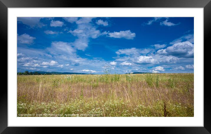 Beautiful shot of a meadow under a cloudy sky Framed Mounted Print by Ingo Menhard