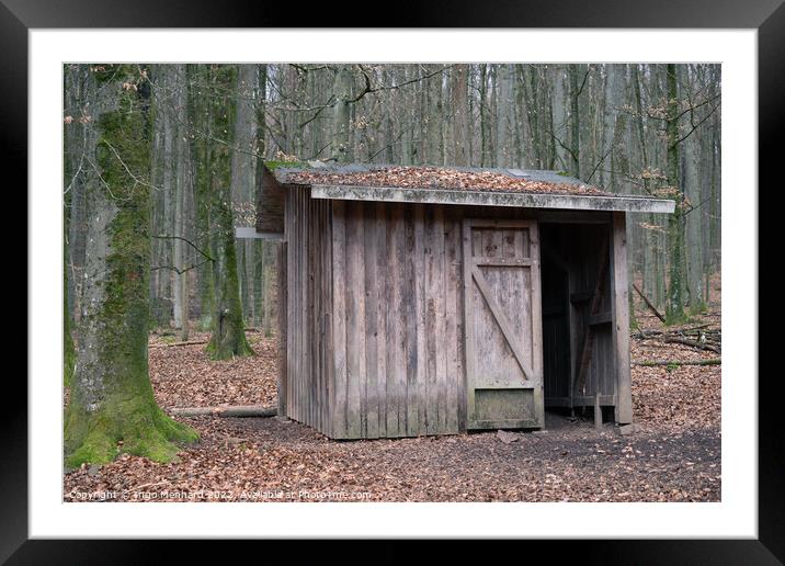 Small wooden cottage built in the middle of the forest captured in Autumn Framed Mounted Print by Ingo Menhard