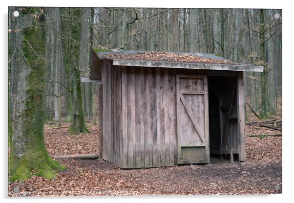 Small wooden cottage built in the middle of the forest captured in Autumn Acrylic by Ingo Menhard