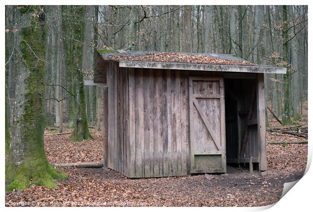 Small wooden cottage built in the middle of the forest captured in Autumn Print by Ingo Menhard