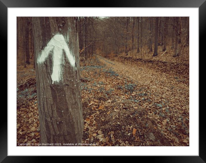 Arrow on a tree trunk showing the direction in the autumn forest Framed Mounted Print by Ingo Menhard