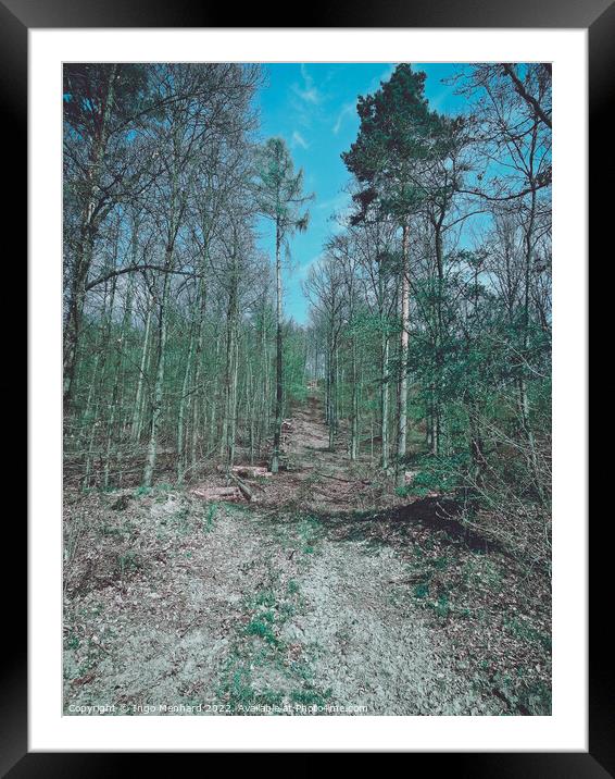 Vertical shot of high trees in the forest Framed Mounted Print by Ingo Menhard