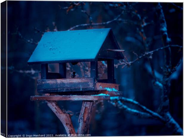 A closeup shot of a birdhouse in a snowy forest Canvas Print by Ingo Menhard