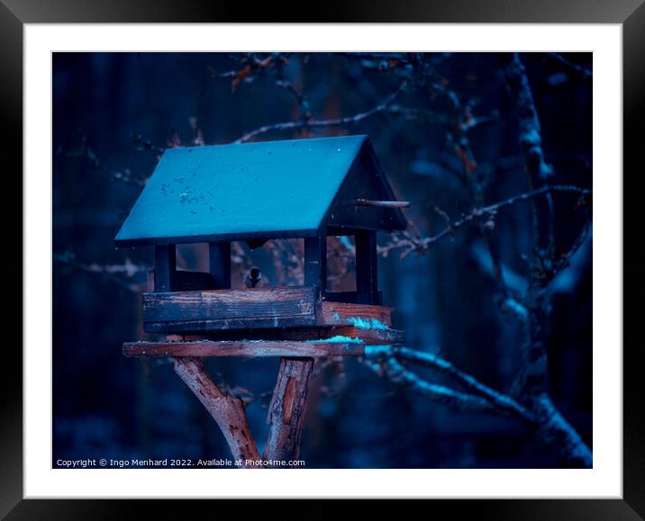 A closeup shot of a birdhouse in a snowy forest Framed Mounted Print by Ingo Menhard