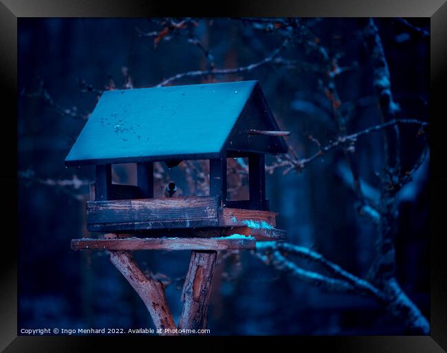 A closeup shot of a birdhouse in a snowy forest Framed Print by Ingo Menhard