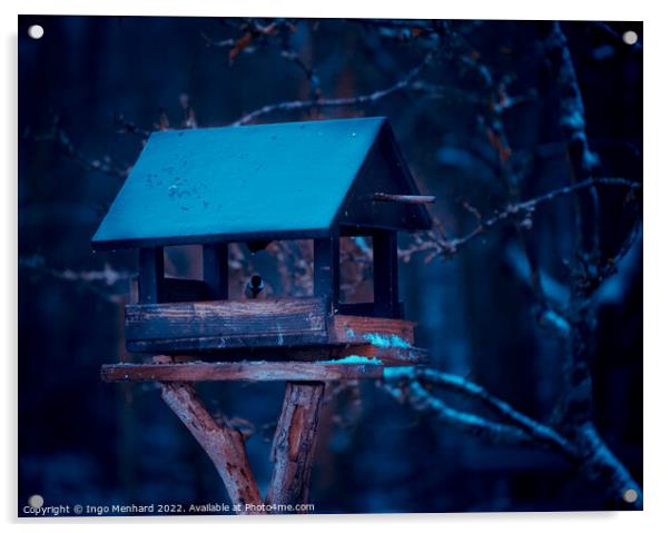 A closeup shot of a birdhouse in a snowy forest Acrylic by Ingo Menhard