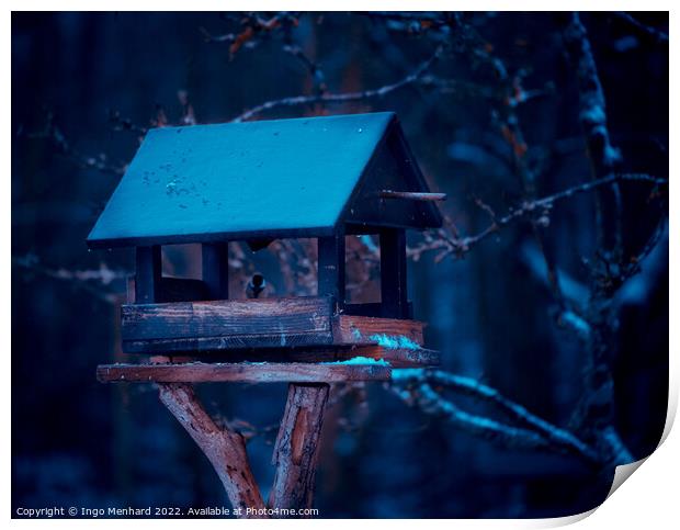 A closeup shot of a birdhouse in a snowy forest Print by Ingo Menhard
