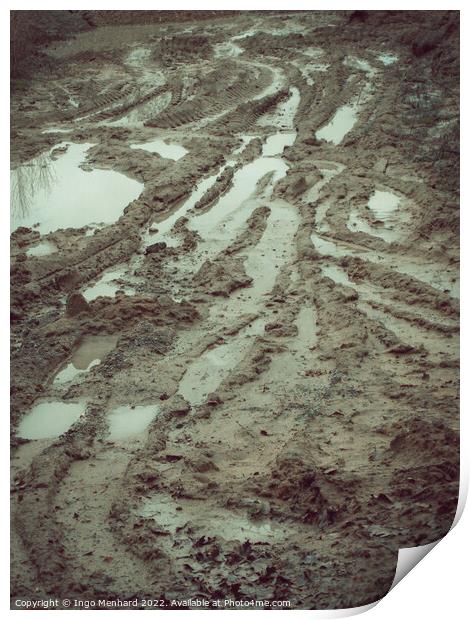 Vertical shot of mud puddles after rain Print by Ingo Menhard