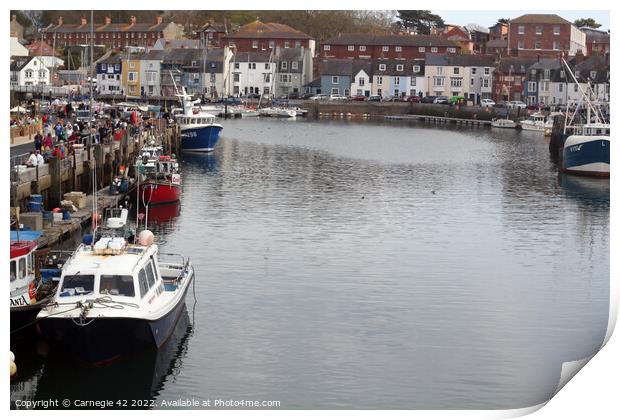 Weymouth Harbour's Tranquil Docked Boat Print by Carnegie 42
