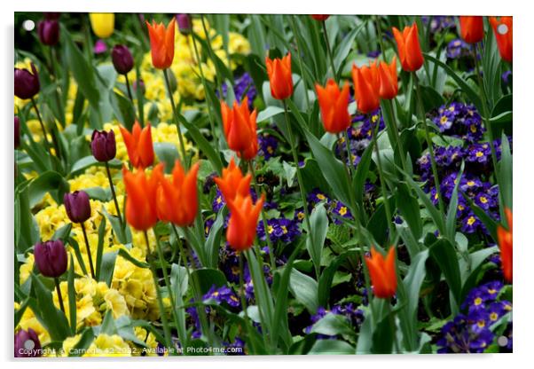 Vivid Springtime Floral Symphony Acrylic by Carnegie 42