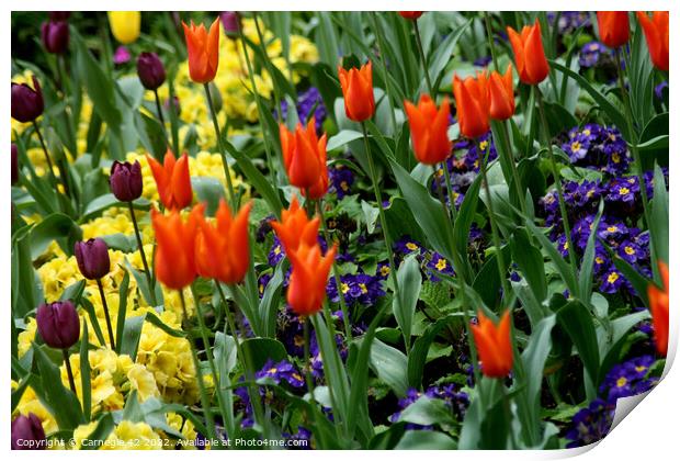 Vivid Springtime Floral Symphony Print by Carnegie 42