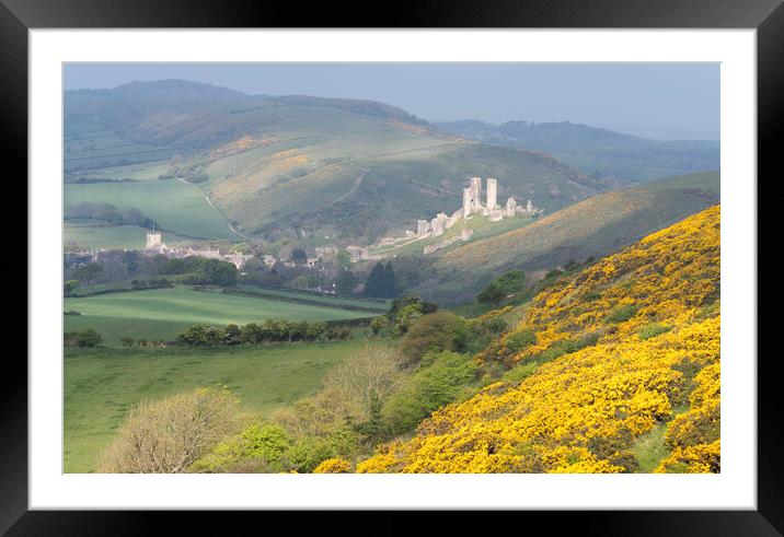 Corfe Castle Framed Mounted Print by David Semmens